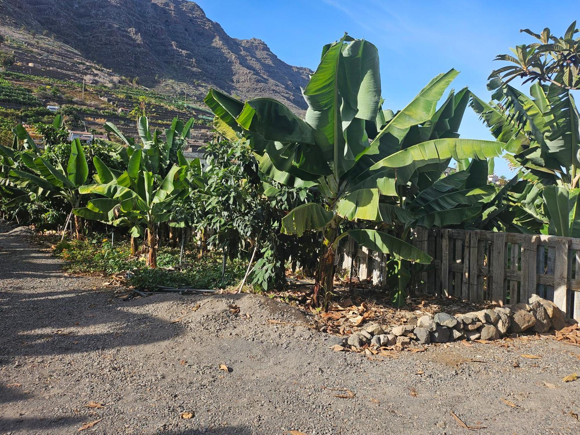 Villa Casa Erika Hermigua Esterno foto