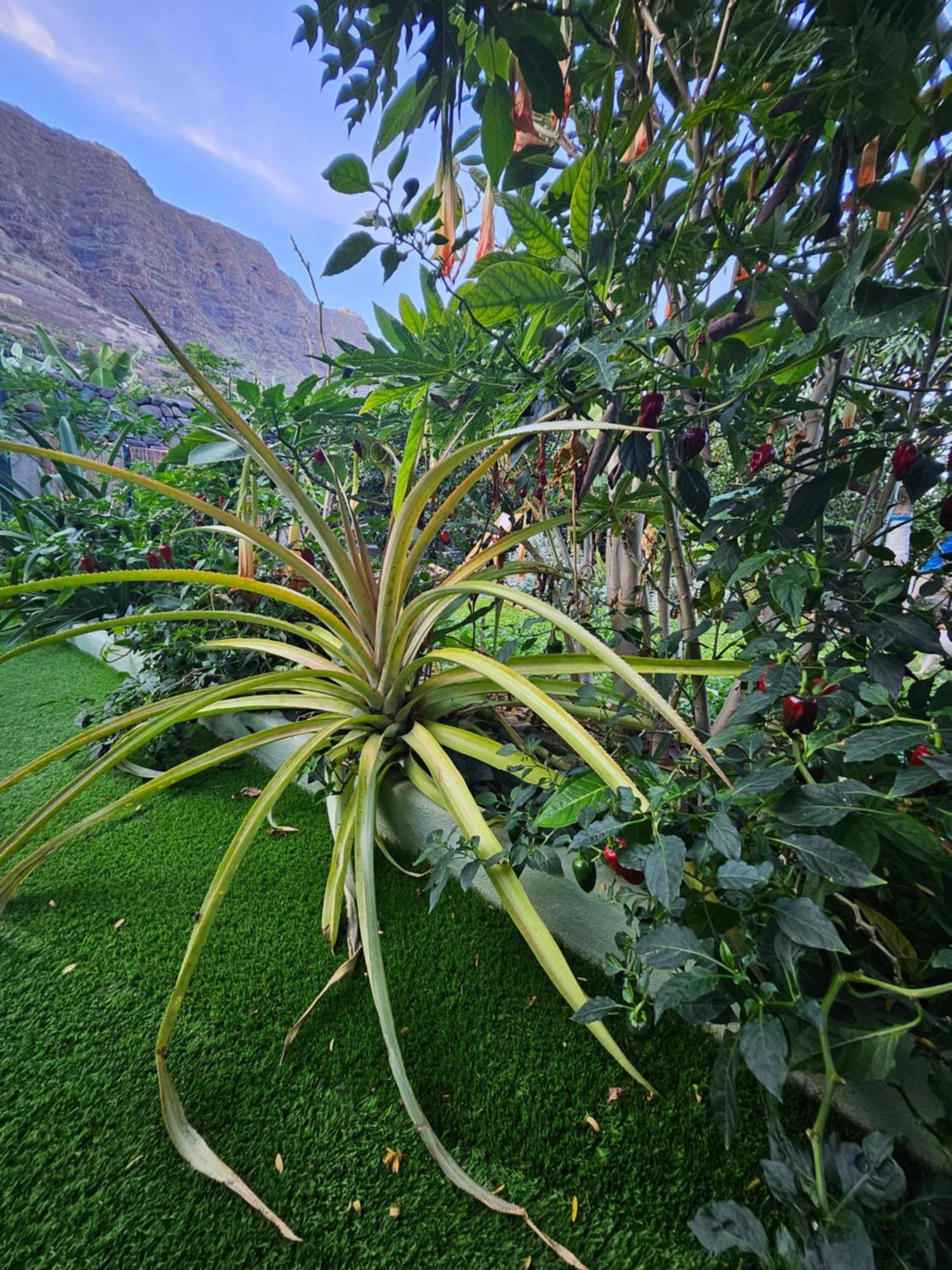 Villa Casa Erika Hermigua Esterno foto